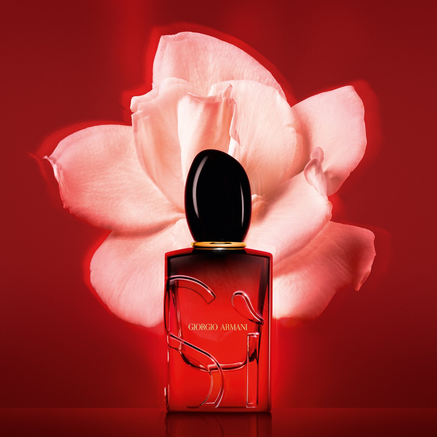 Fragrance for her