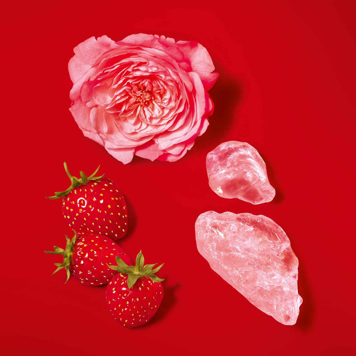 s  passione red musk