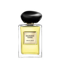 armani priv  orangerie venise