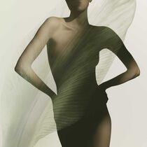 armani priv  the yulong