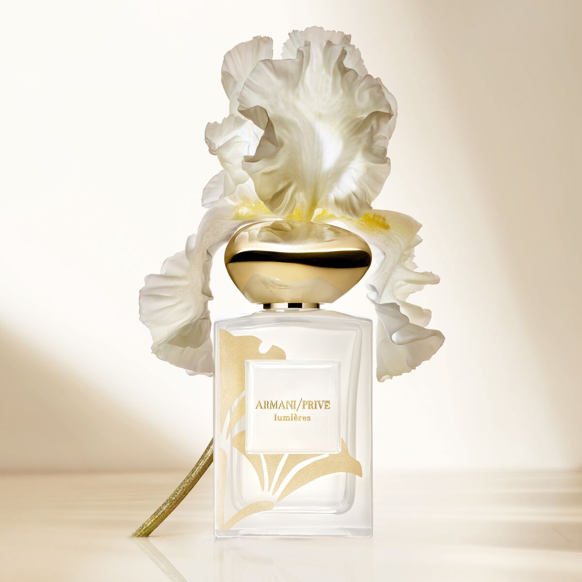 armani priv  lumi res eau de parfum