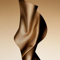 armani priv  cuir dor  eau de parfum intense