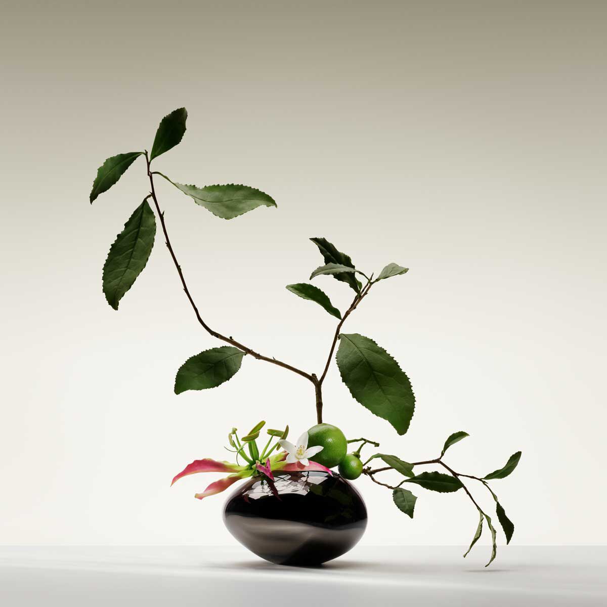 armani priv  the yulong