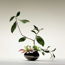 armani priv  the yulong