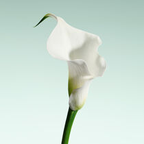 armani priv  vert malachite