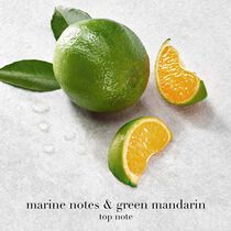 acqua di gio eau de parfum