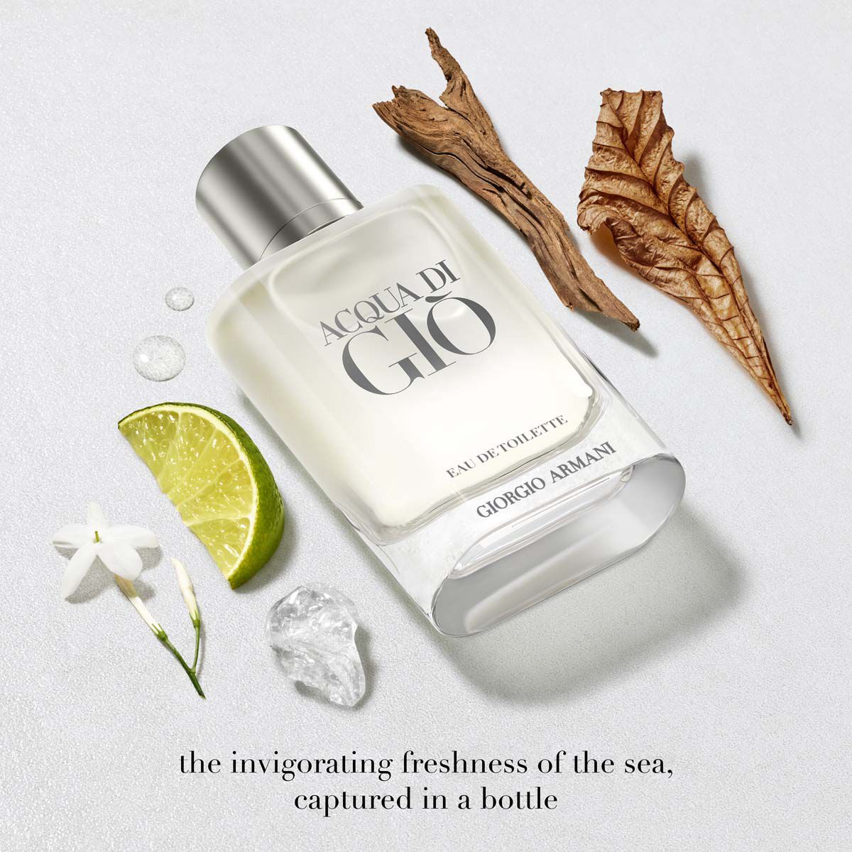 acqua di gio eau de toilette