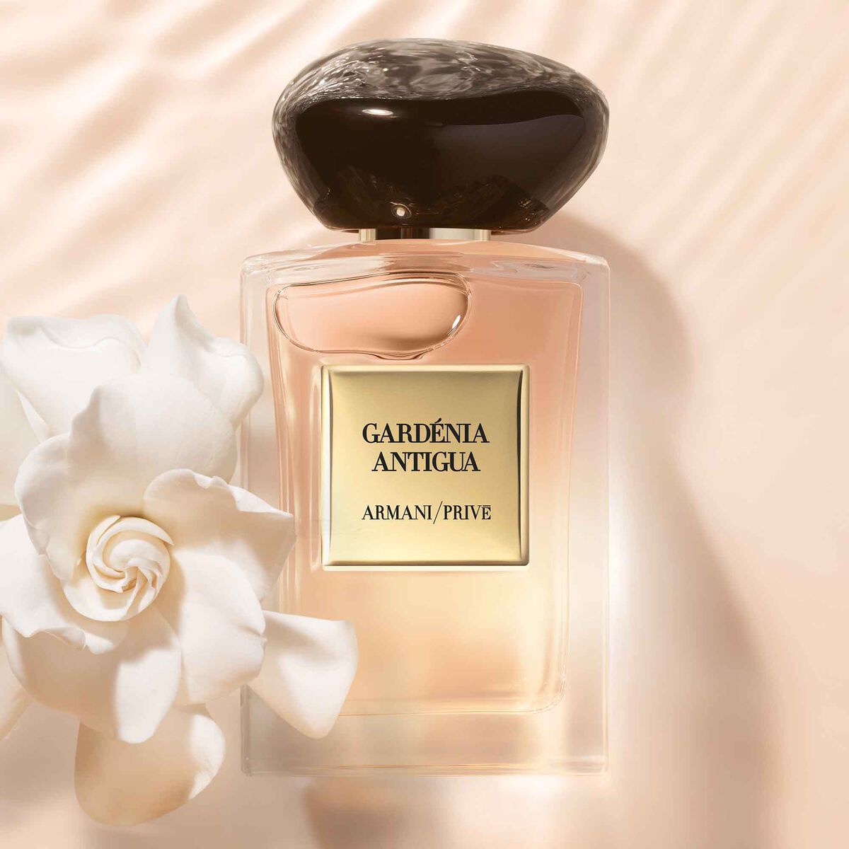 armani prive gardenia antigua