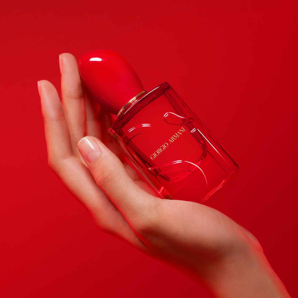 s  passione red musk