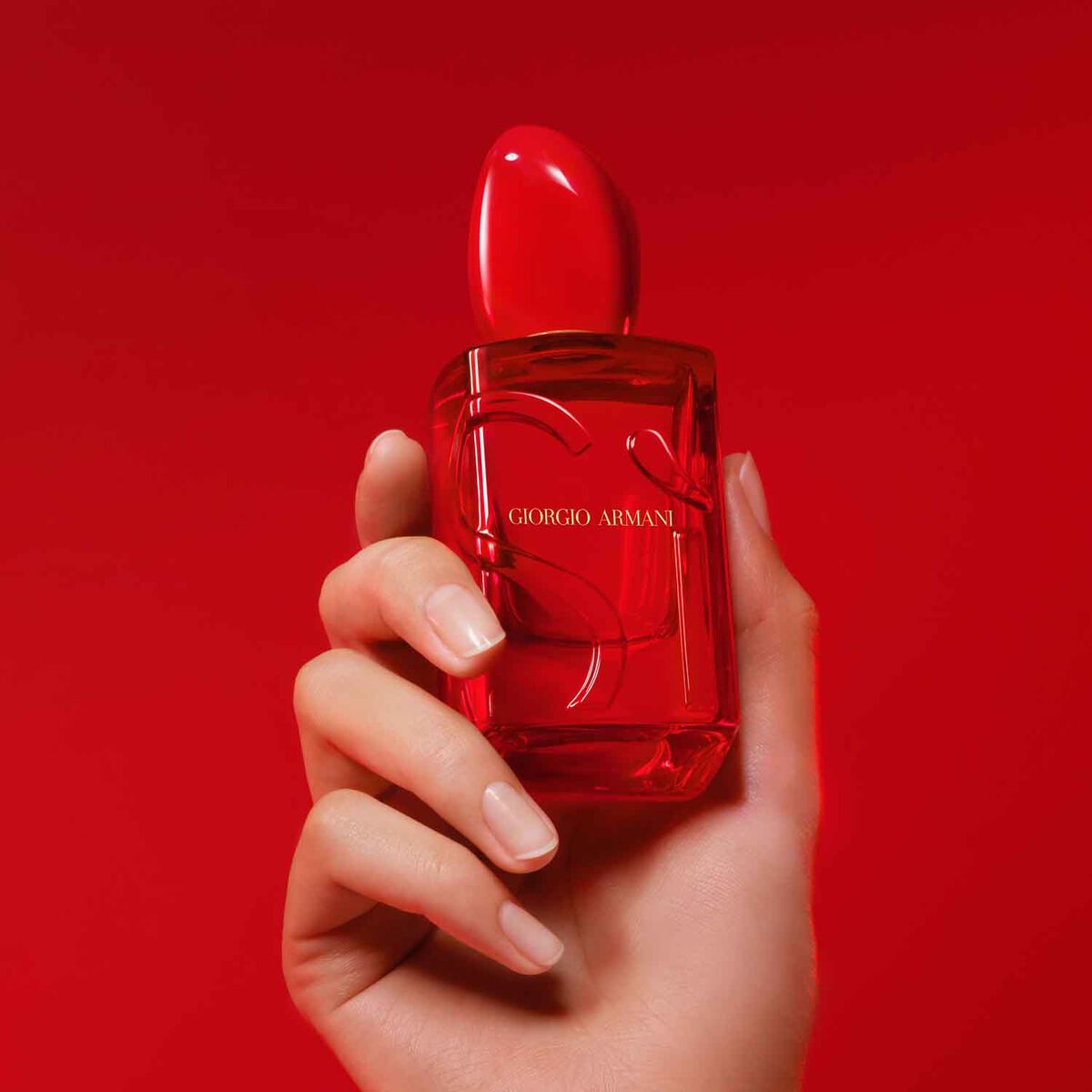 s  passione red musk