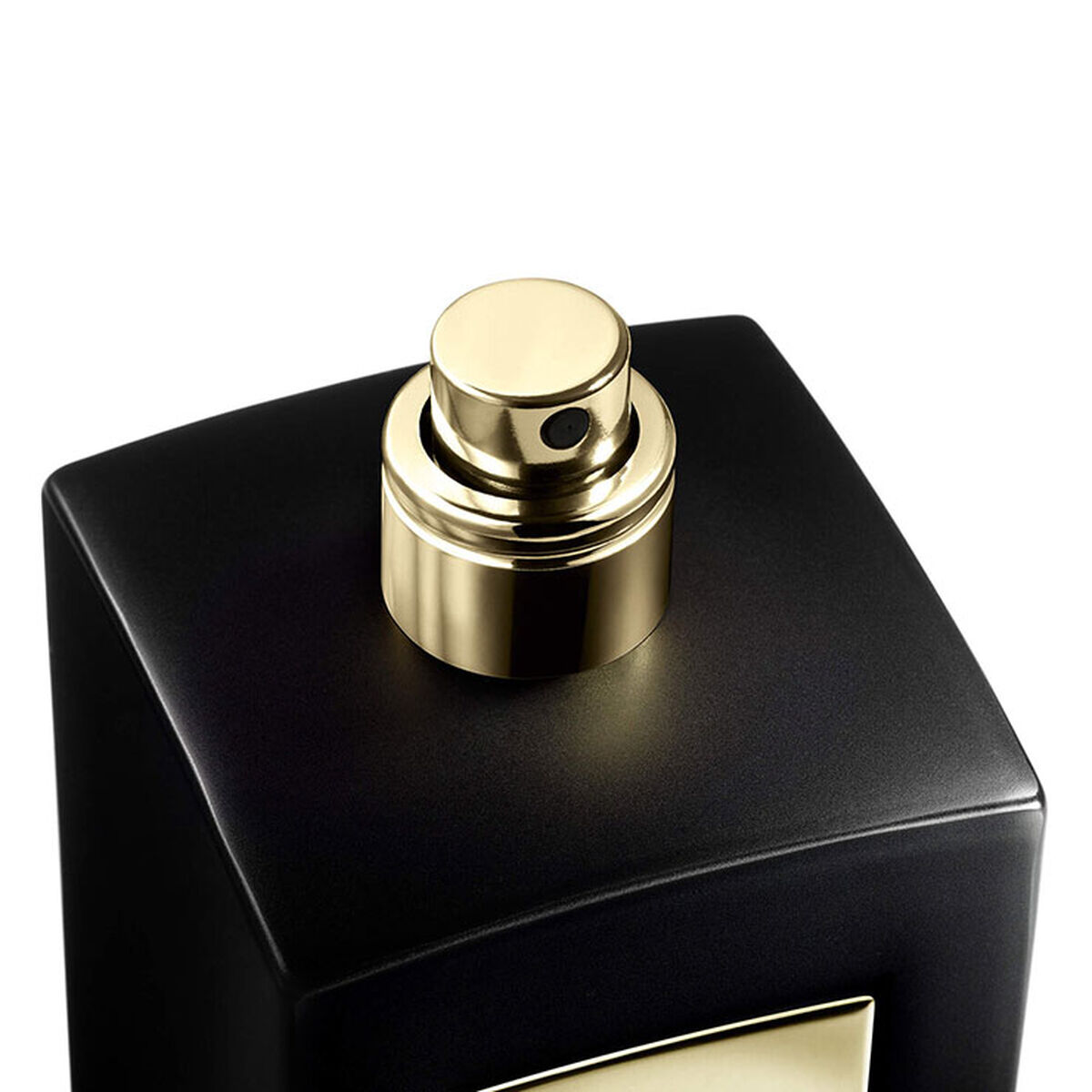 armani priv  musc shamal