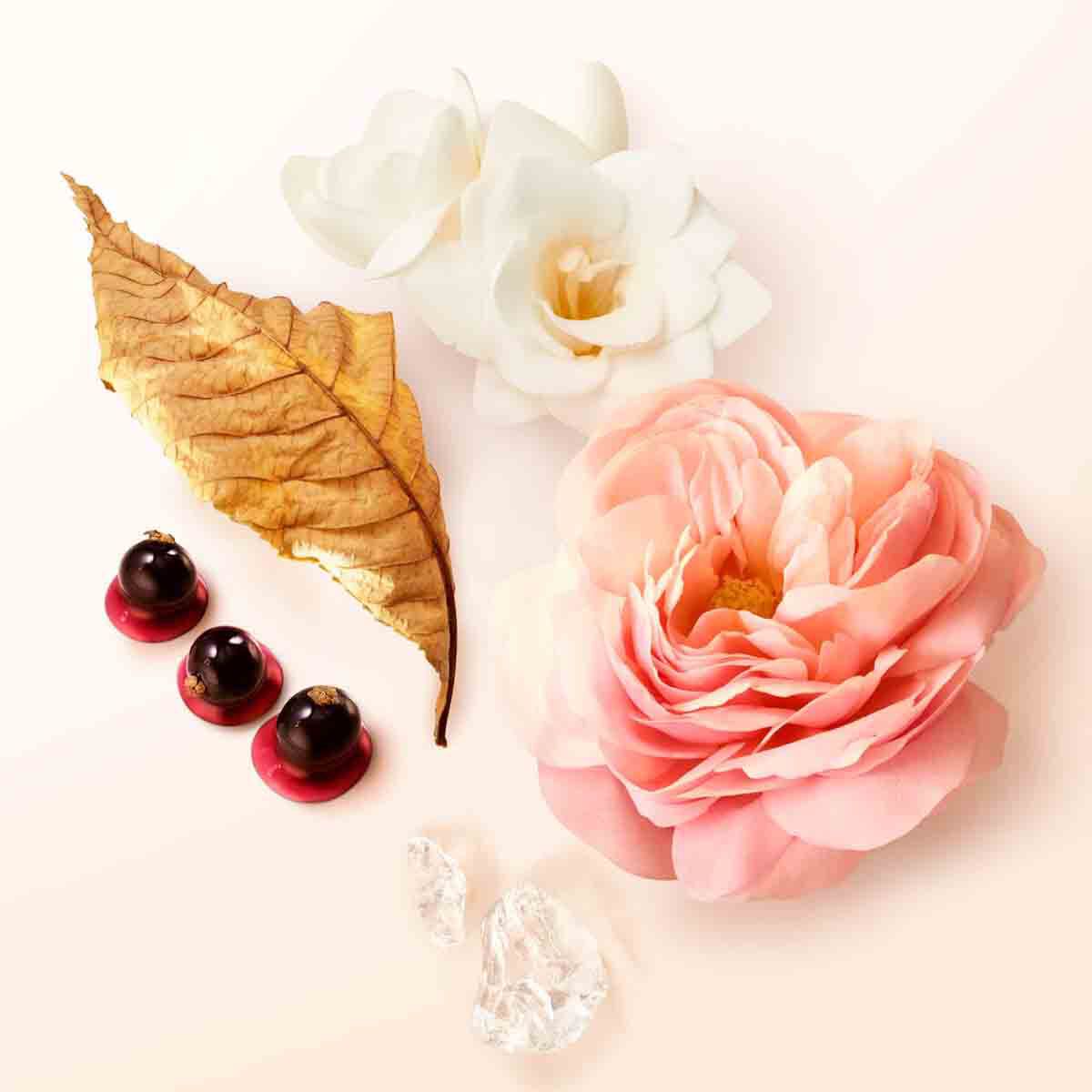s  eau de parfum spring gift set