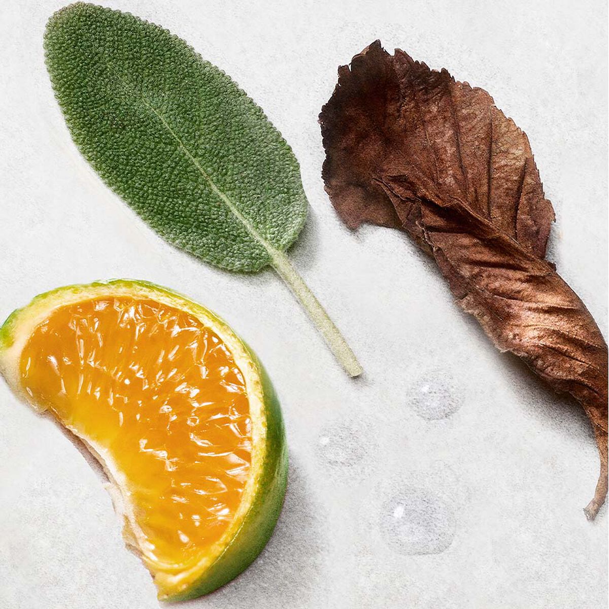 acqua di gio eau de parfum