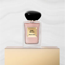 armani priv  rose milano