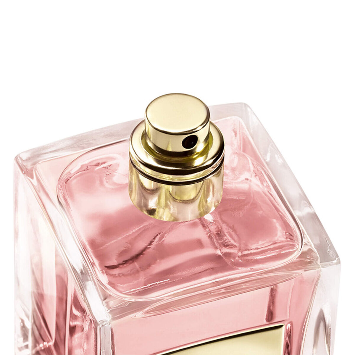 armani priv  rose alexandrie