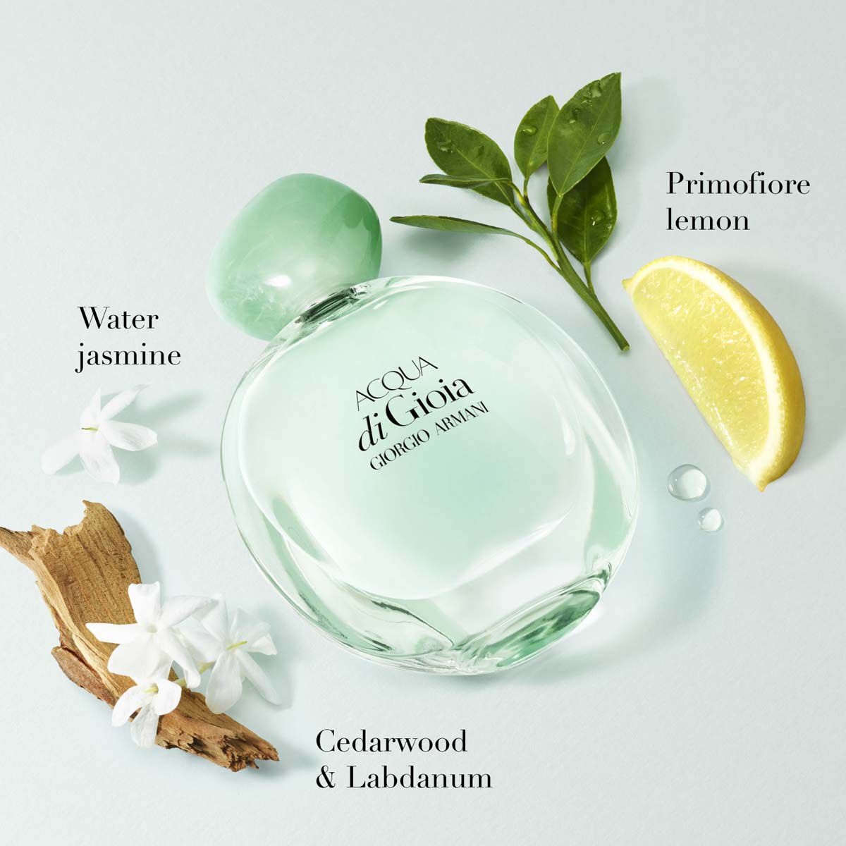 acqua di gioia eau de parfum intense