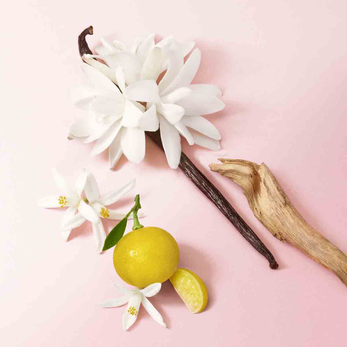 my way eau de parfum spring gift set