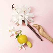 my way eau de parfum spring gift set