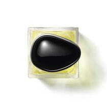 armani priv  orangerie venise