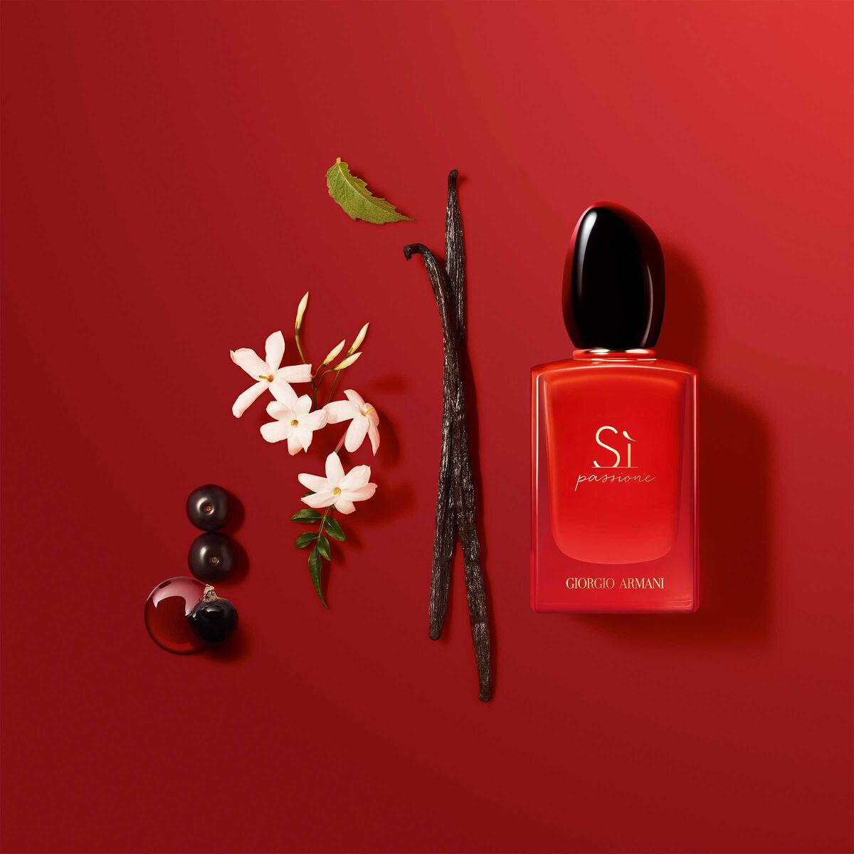 s passione eau de parfum intense