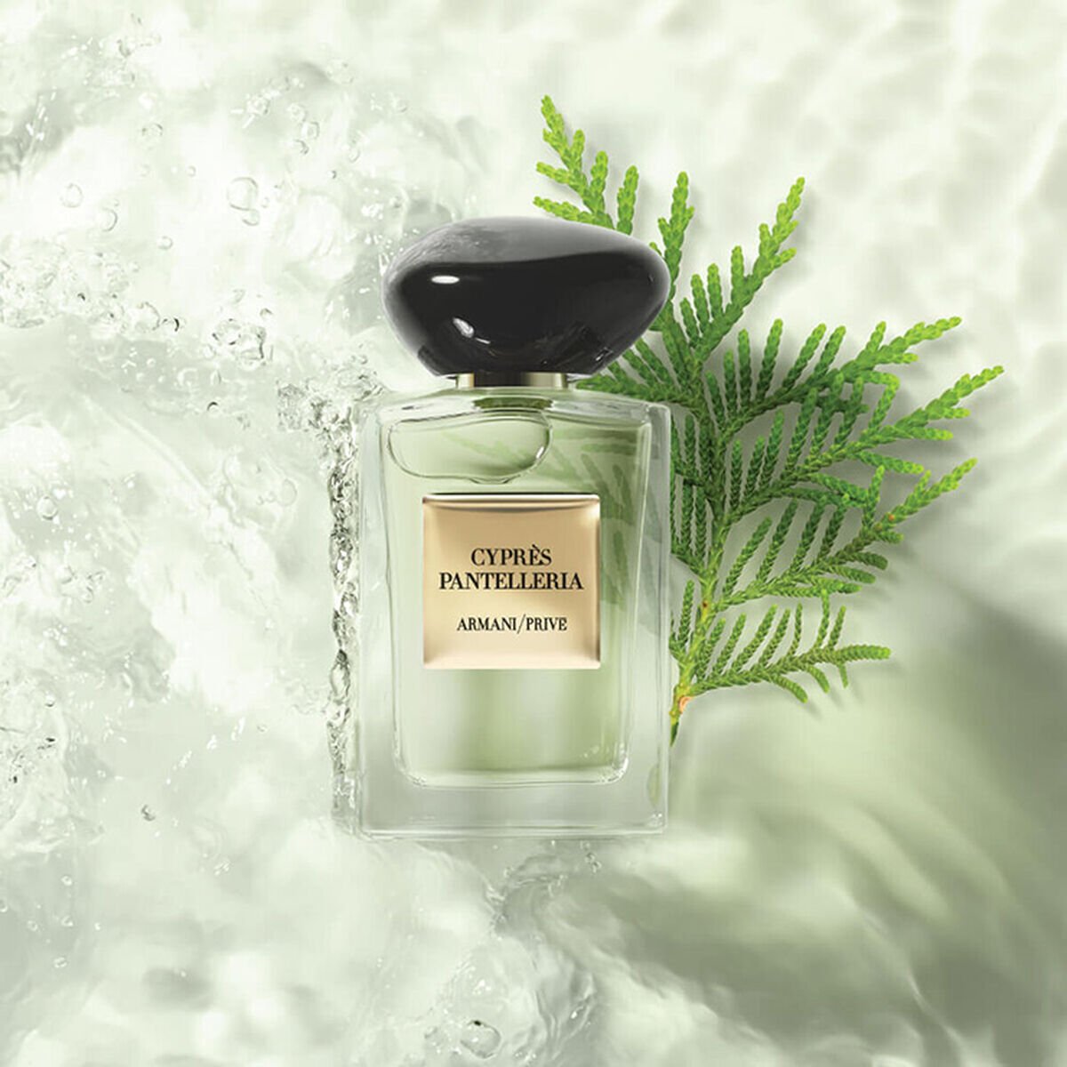 armani prive cypres pantelleria