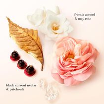 s  eau de parfum 100ml valentine s gift set