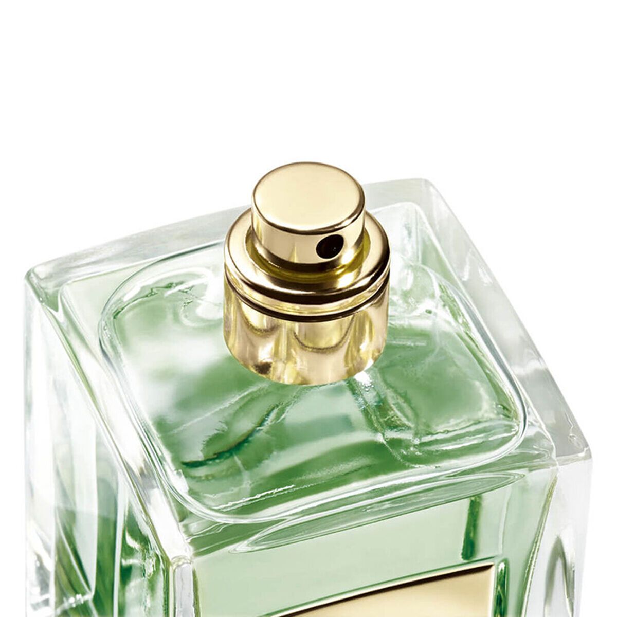 عطر سيبريه بانتليريا من مجموعة أرماني بريفيه