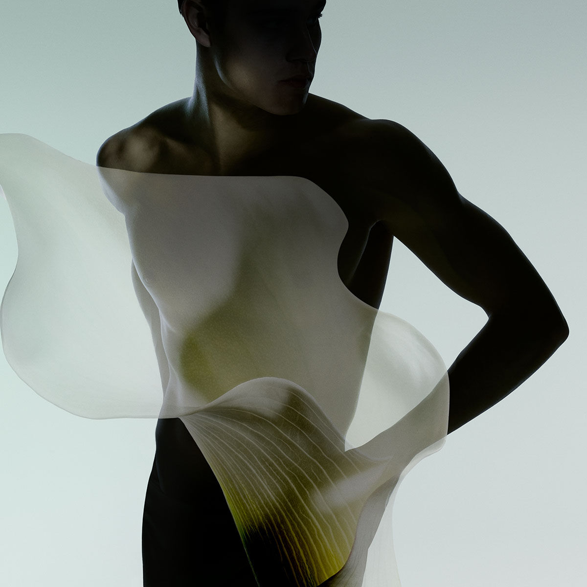 armani priv  vert malachite