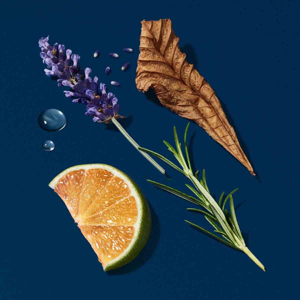 acqua di gi eau de parfum profondo spring gift set